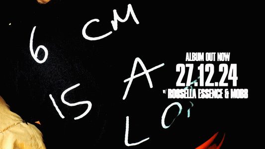 ALBUM - Party 27.12.24 w/ ROSSELLA ESSENCE & MOBB